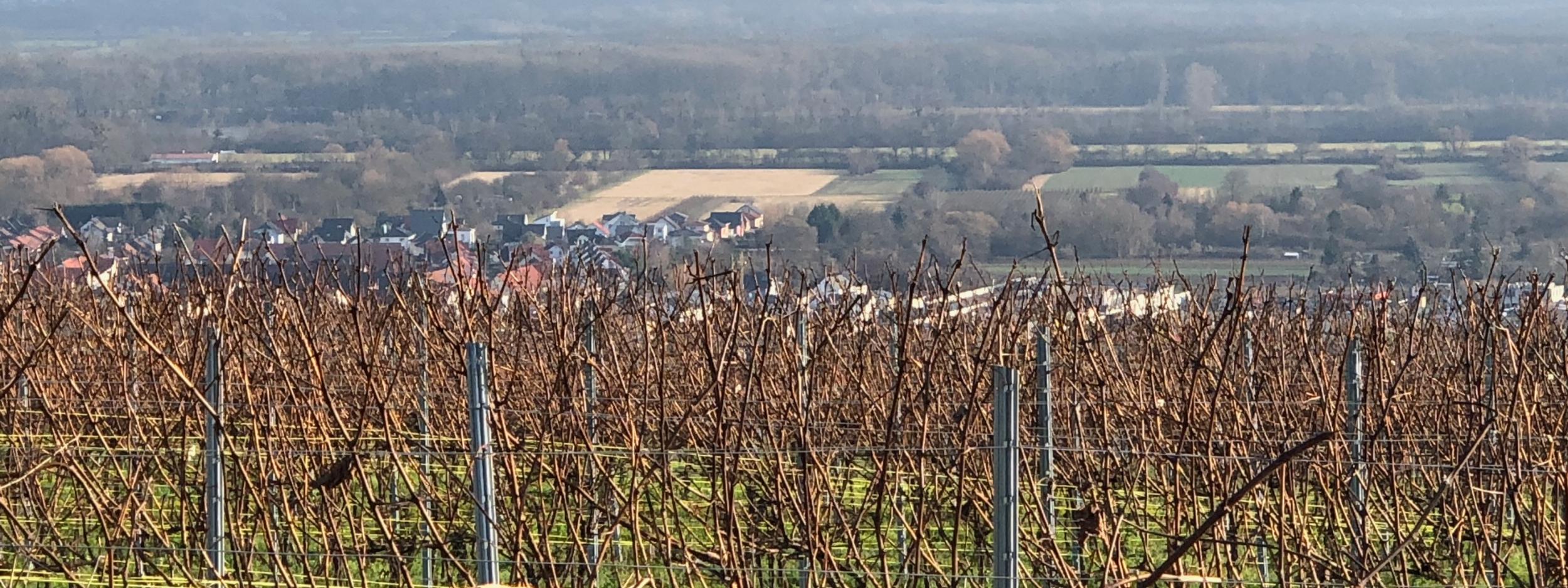 Pastoralraum Rhein-Selz