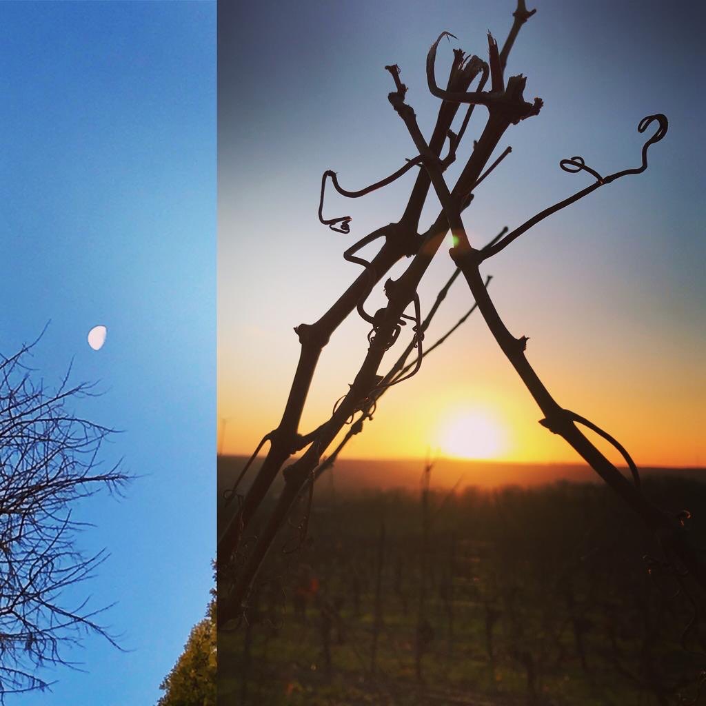 Sonne und Mond (c) Bistum Mainz / Christiane Wink
