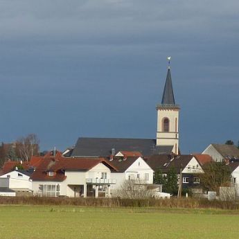 epp_vomfeld