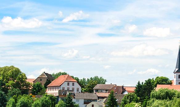 200 Jahre Rheinhessen 200 Jahre Rheinhessen