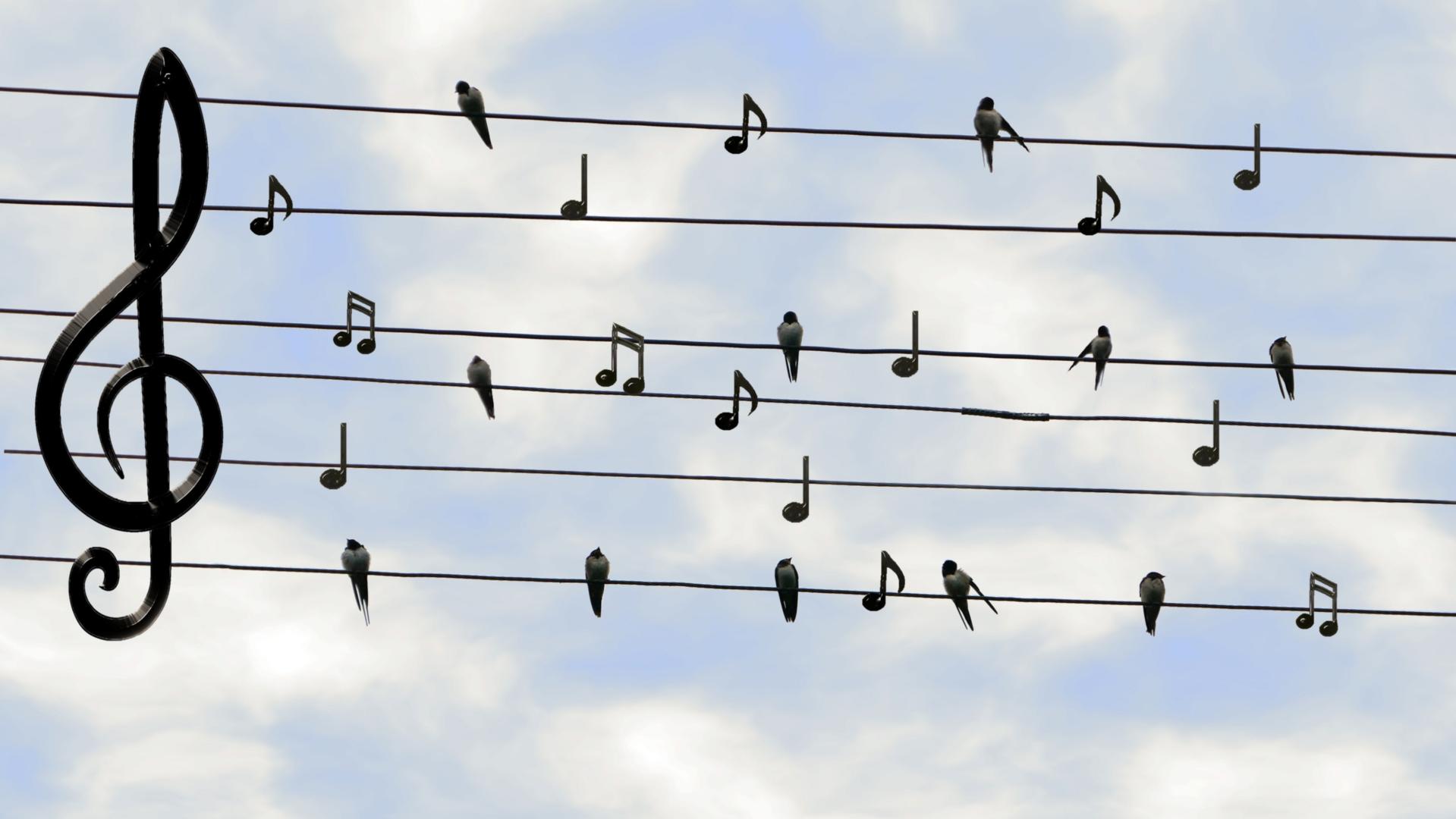 Auszeit-Singen=dieter_g-birds-2672101