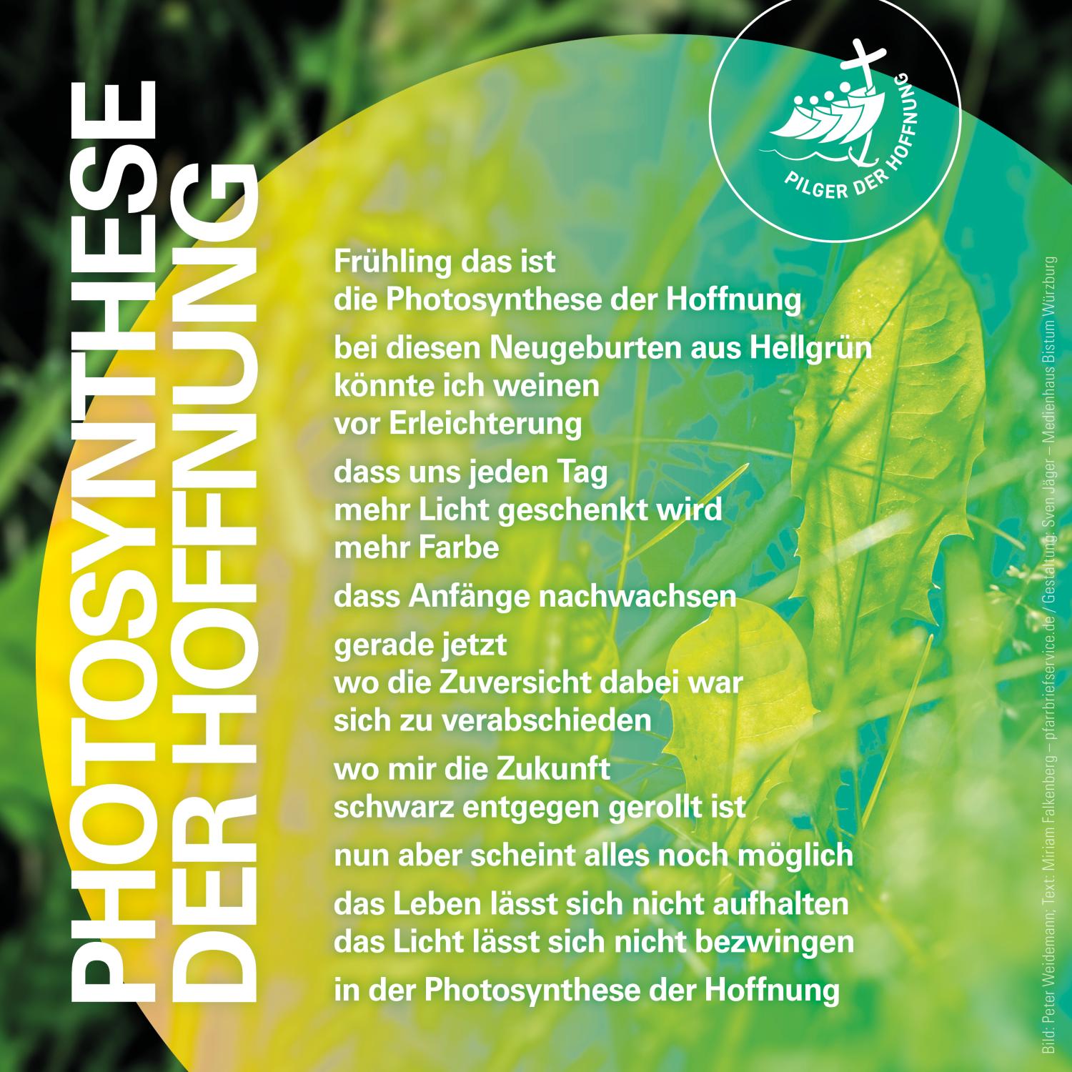 Oster-Aktion_Bildimpulse_2025_Ostersonntag_by_pfarrbriefservice