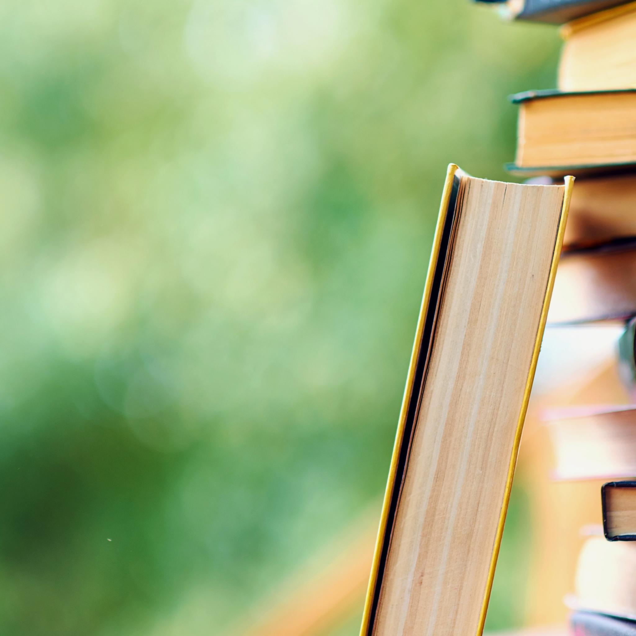 Bücherstapel im Grünen