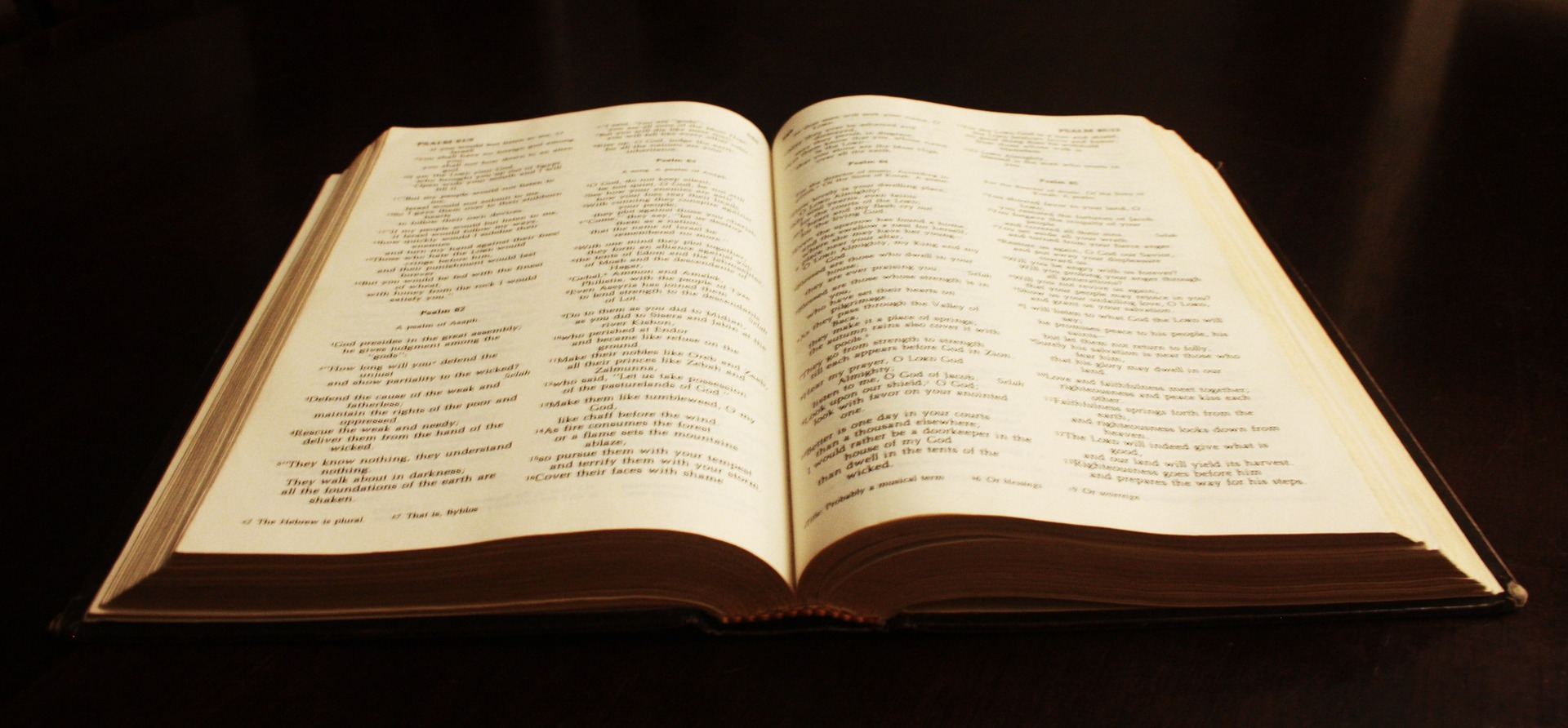 Bibel lesen (c) pixabay