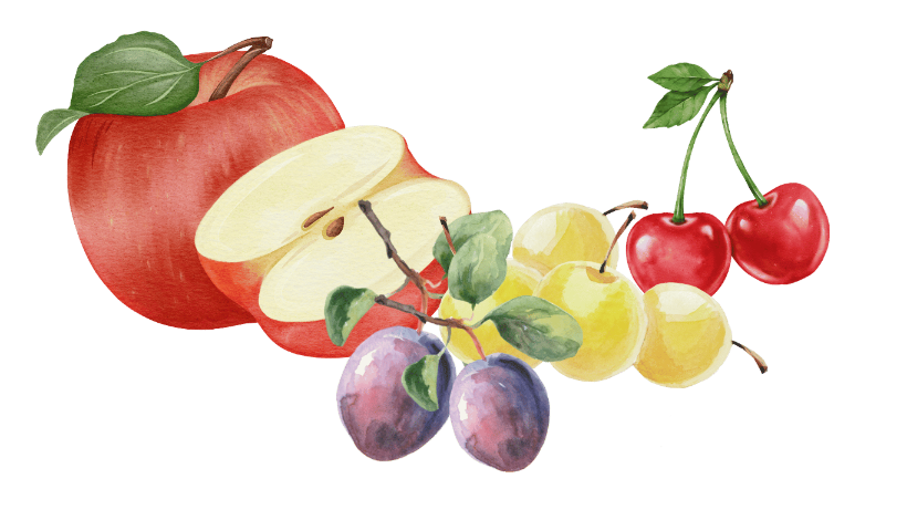 Obst