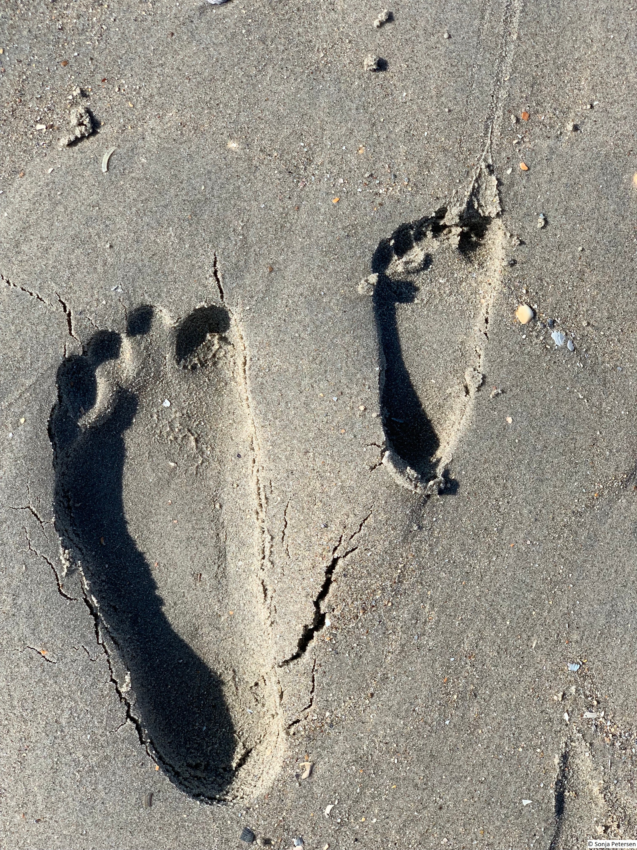 Fußspuren