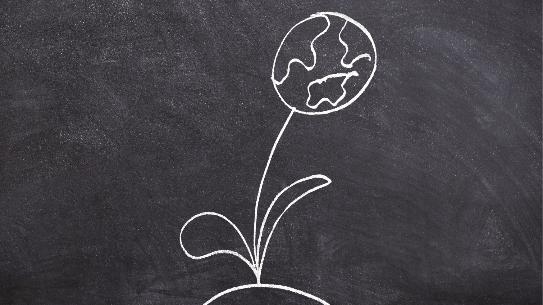 Grafik - Welt&Umwelt