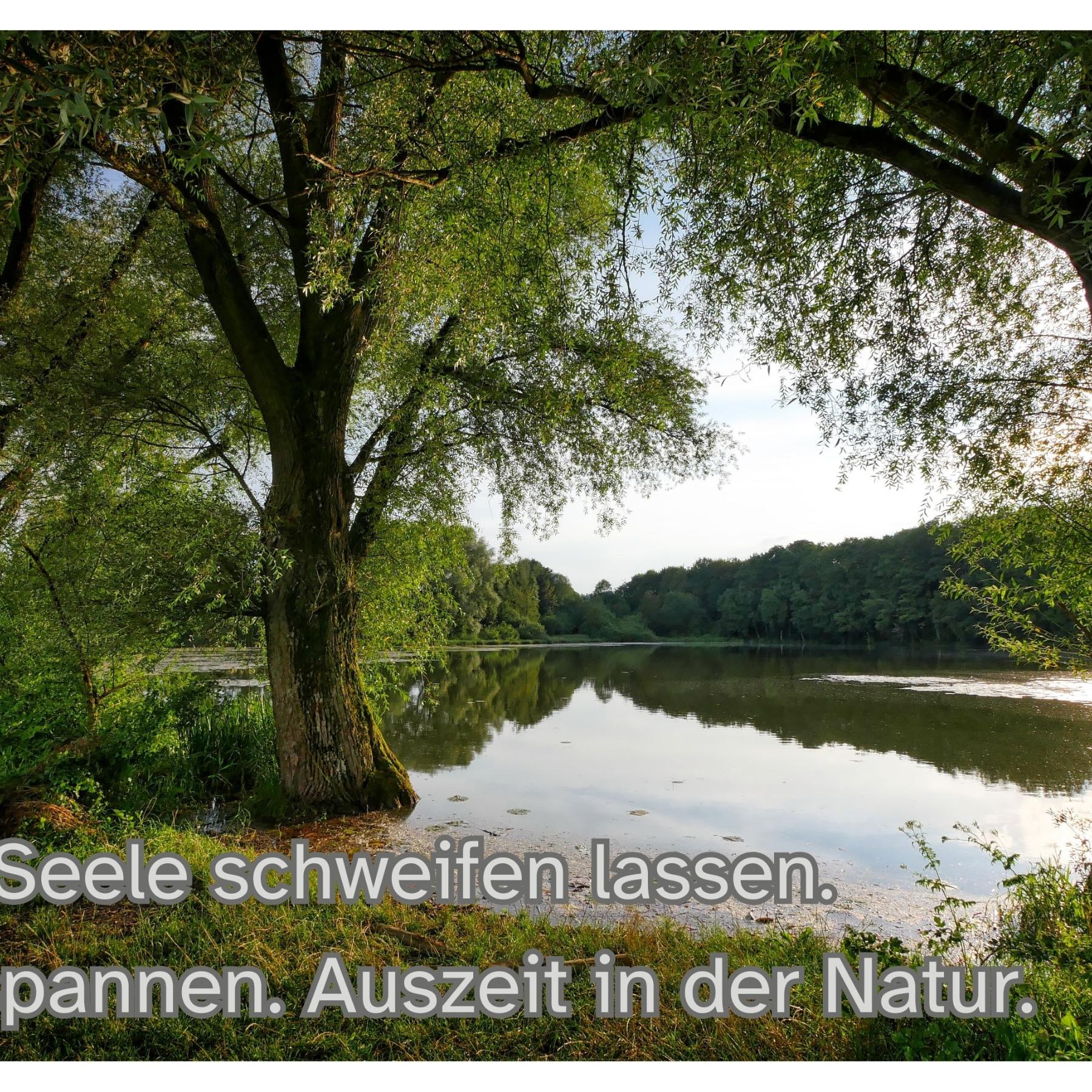 BU Auszeit Herbstein