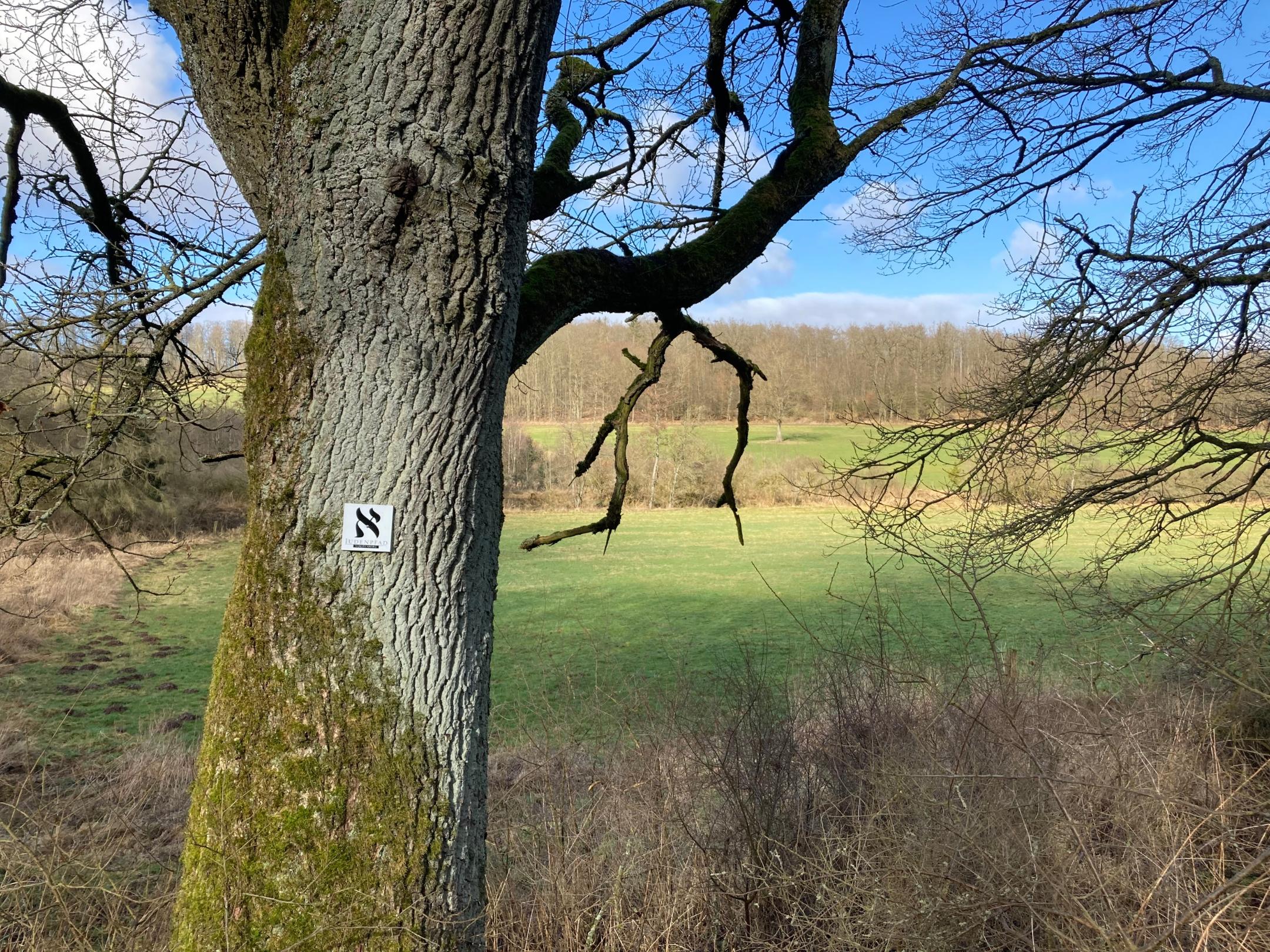 Foto Judenpfad