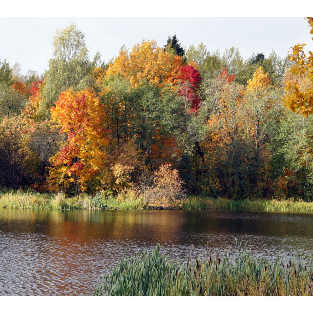Herbstliche Auszeit in der Natur.