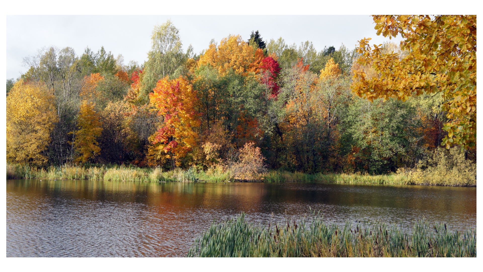 Herbstliche Auszeit in der Natur.