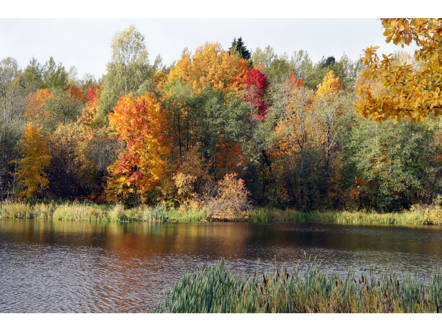 Herbstliche Auszeit in der Natur.