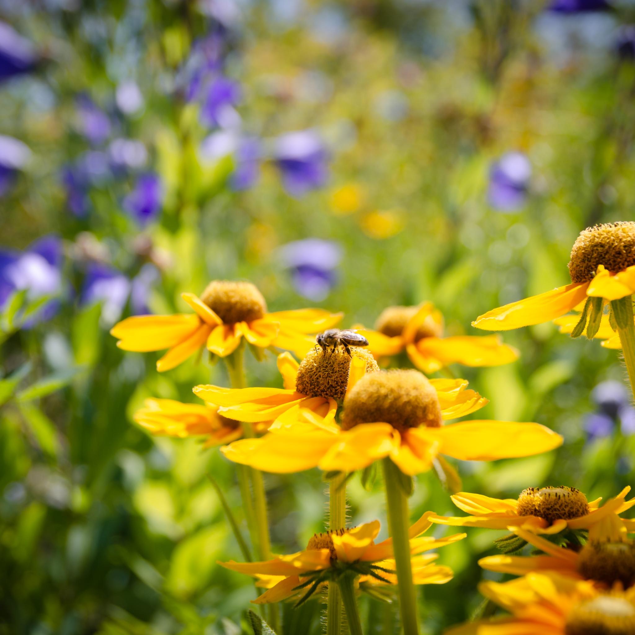 N. Schwarz - Gemeindebriefdruckerei.de_GBD00508(5)