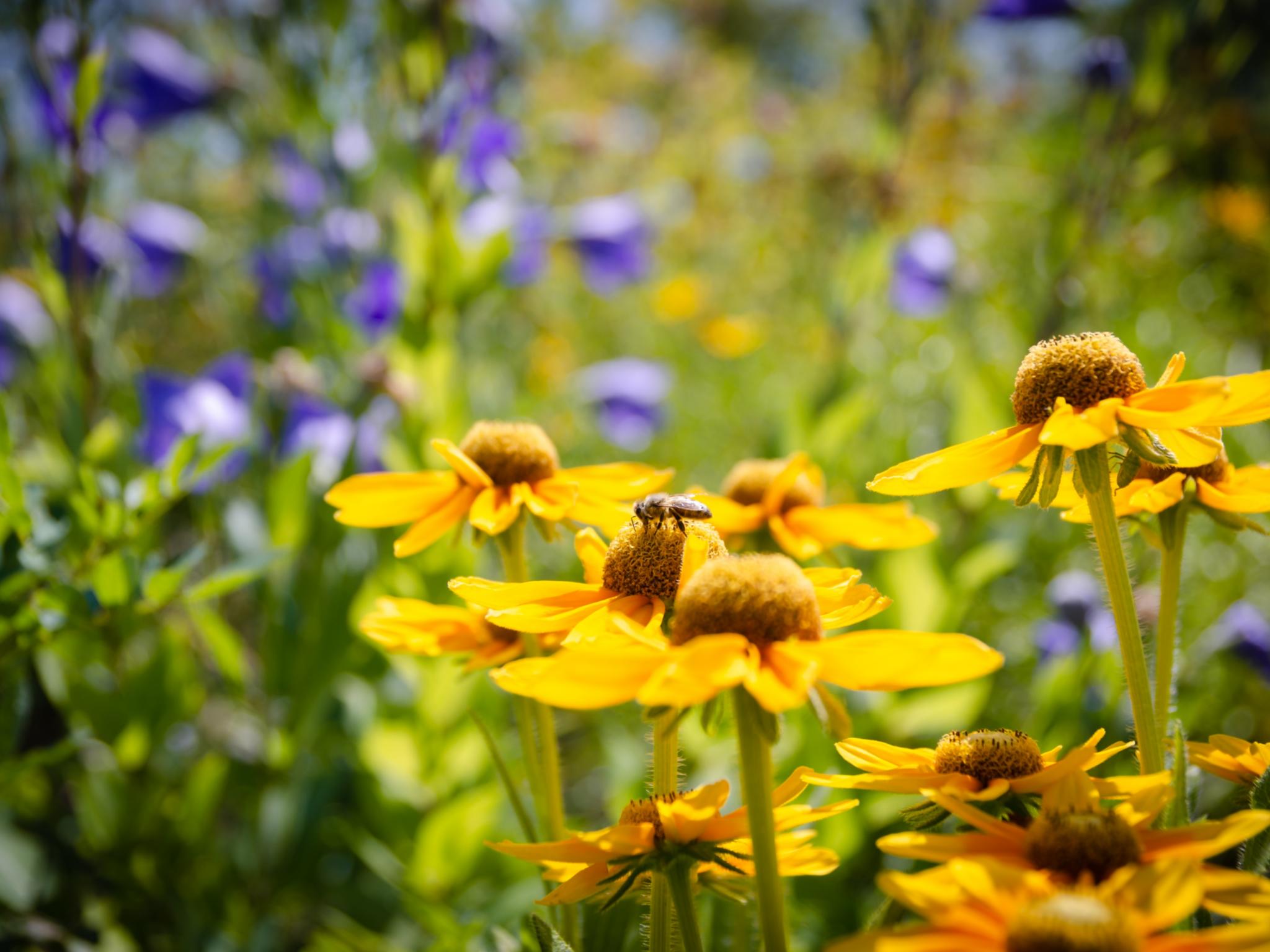 N. Schwarz - Gemeindebriefdruckerei.de_GBD00508(5)