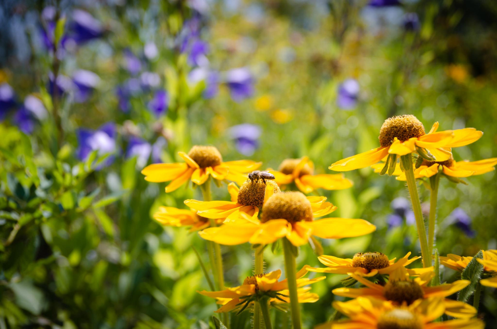 N. Schwarz - Gemeindebriefdruckerei.de_GBD00508(5)