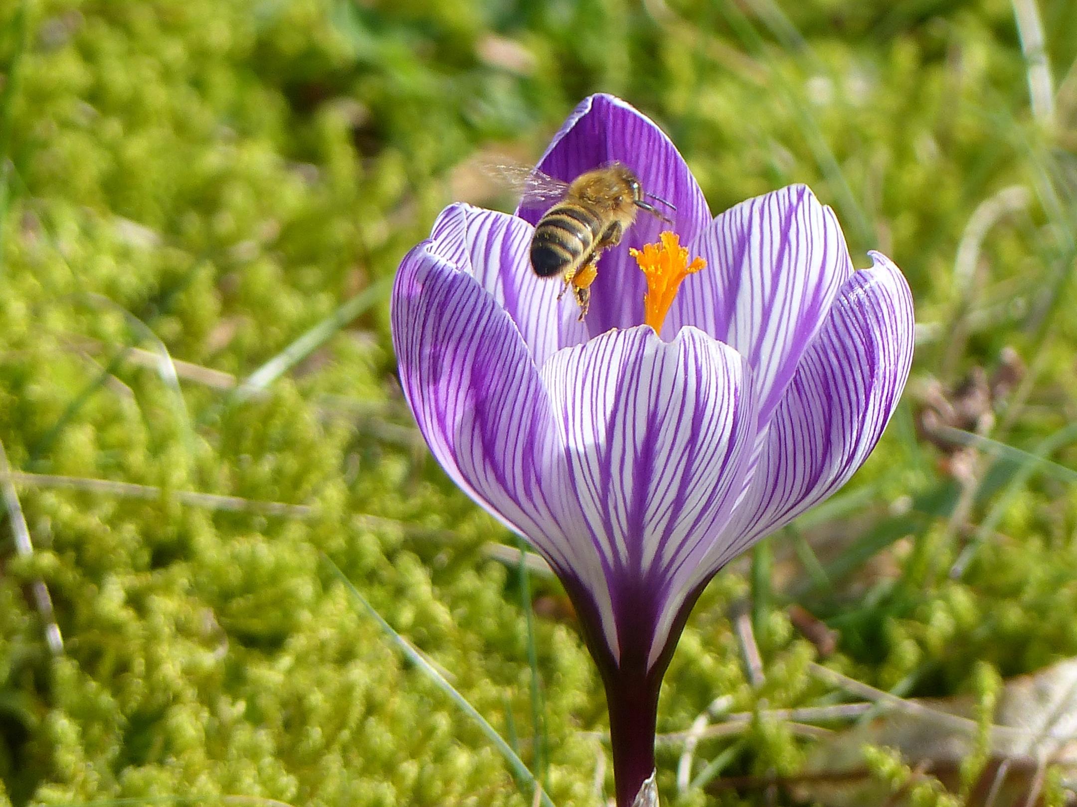 p2080779_by_wunibald-woerle_pfarrbriefservice