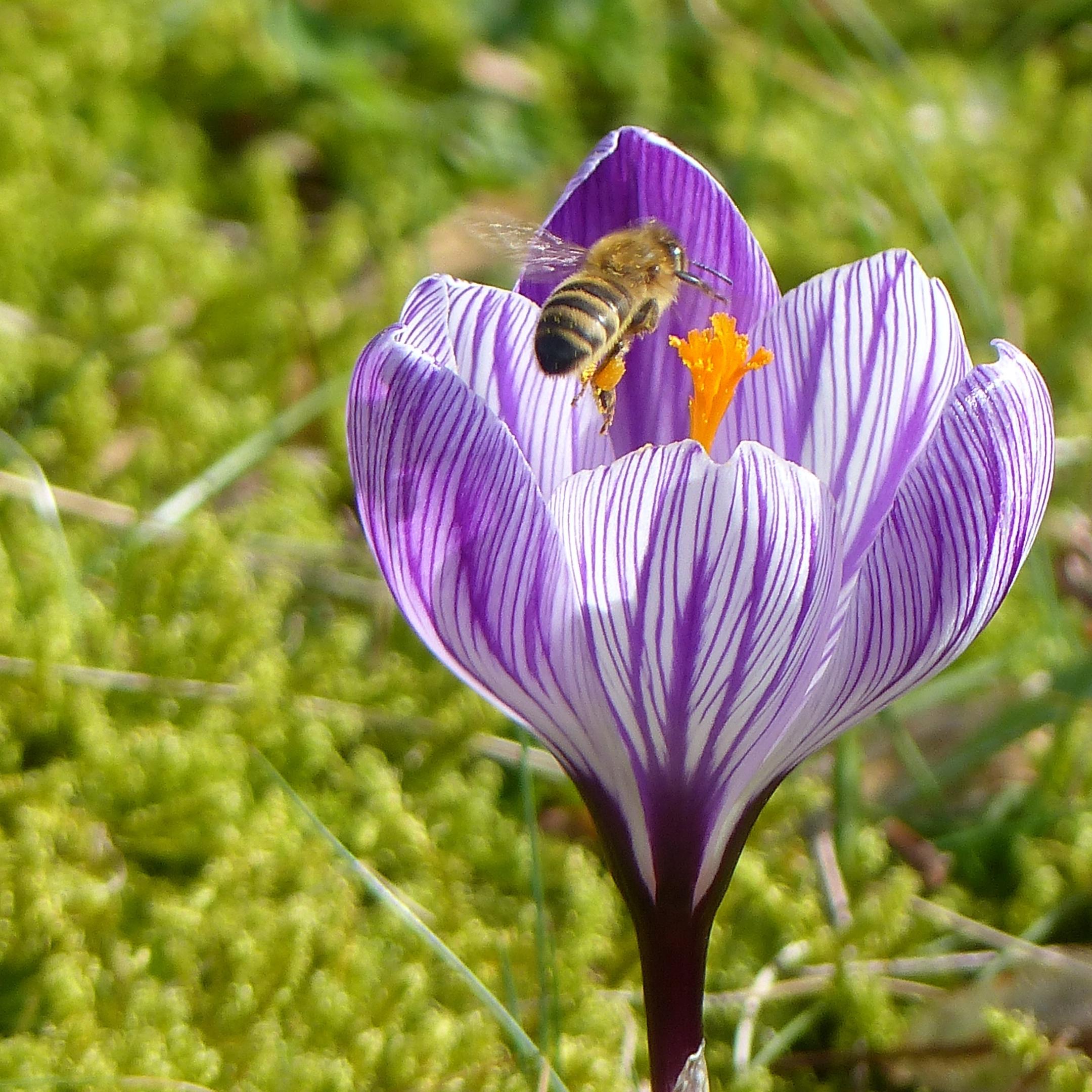 p2080779_by_wunibald-woerle_pfarrbriefservice