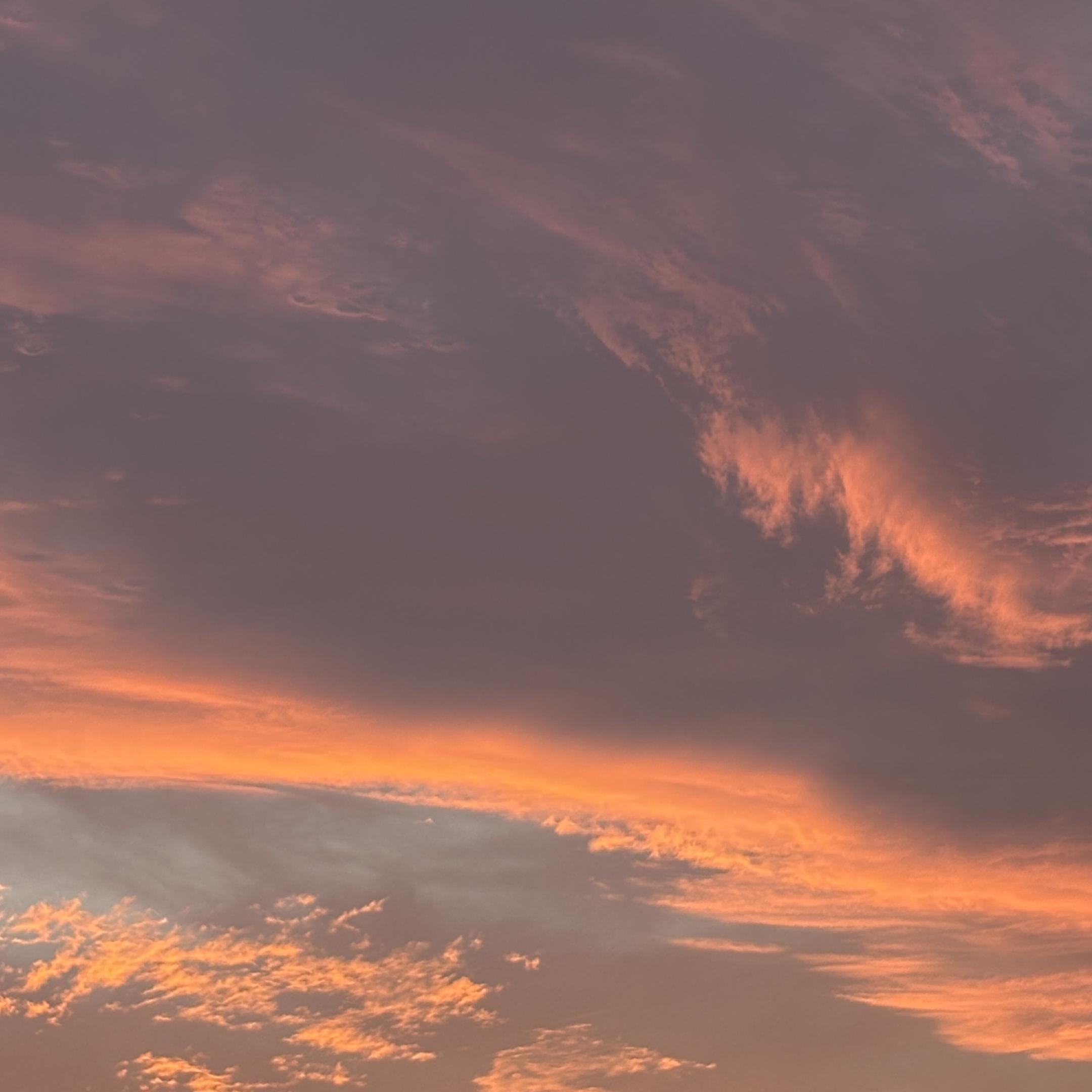 Abendhimmel Sonja Petersen