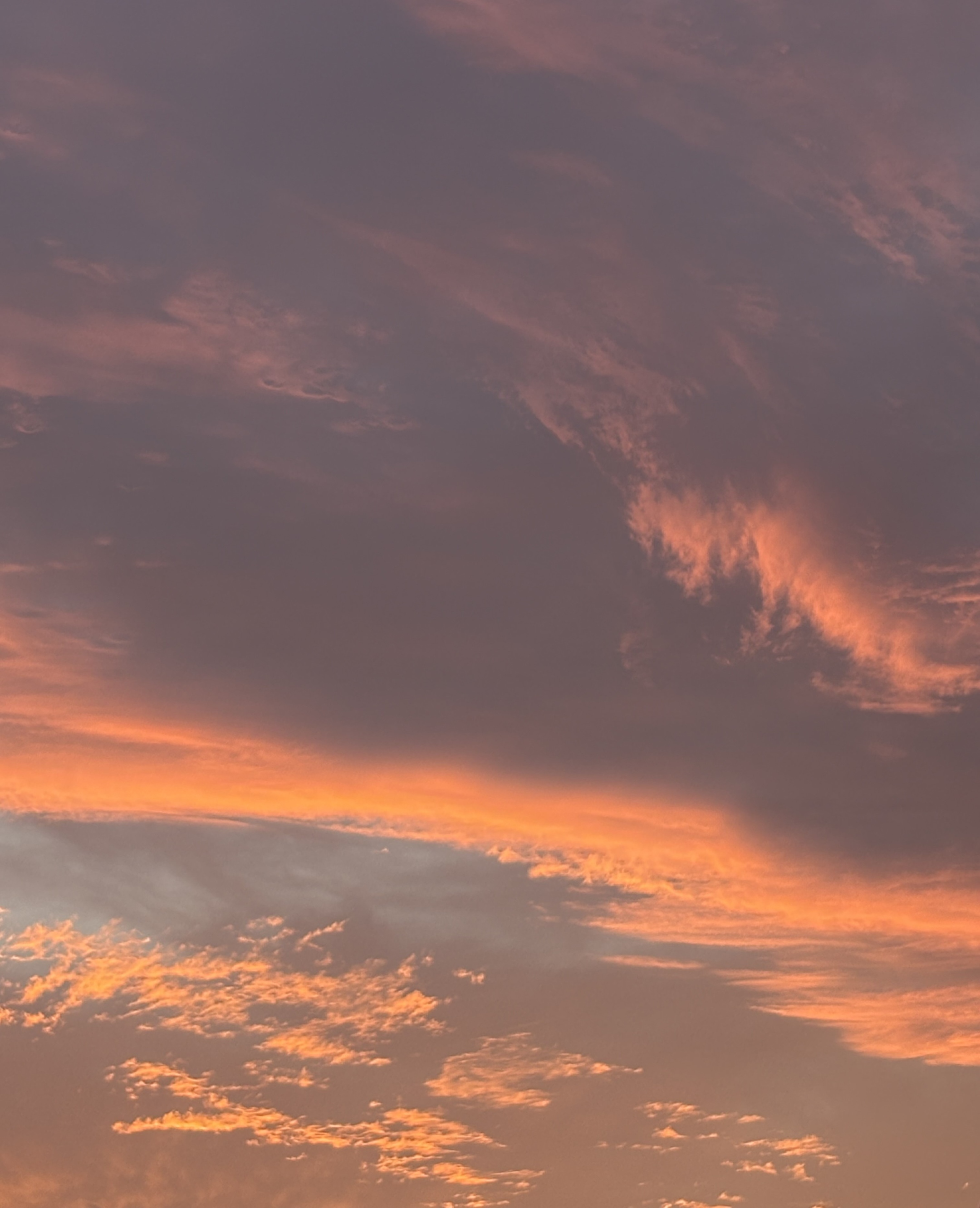 Abendhimmel Sonja Petersen