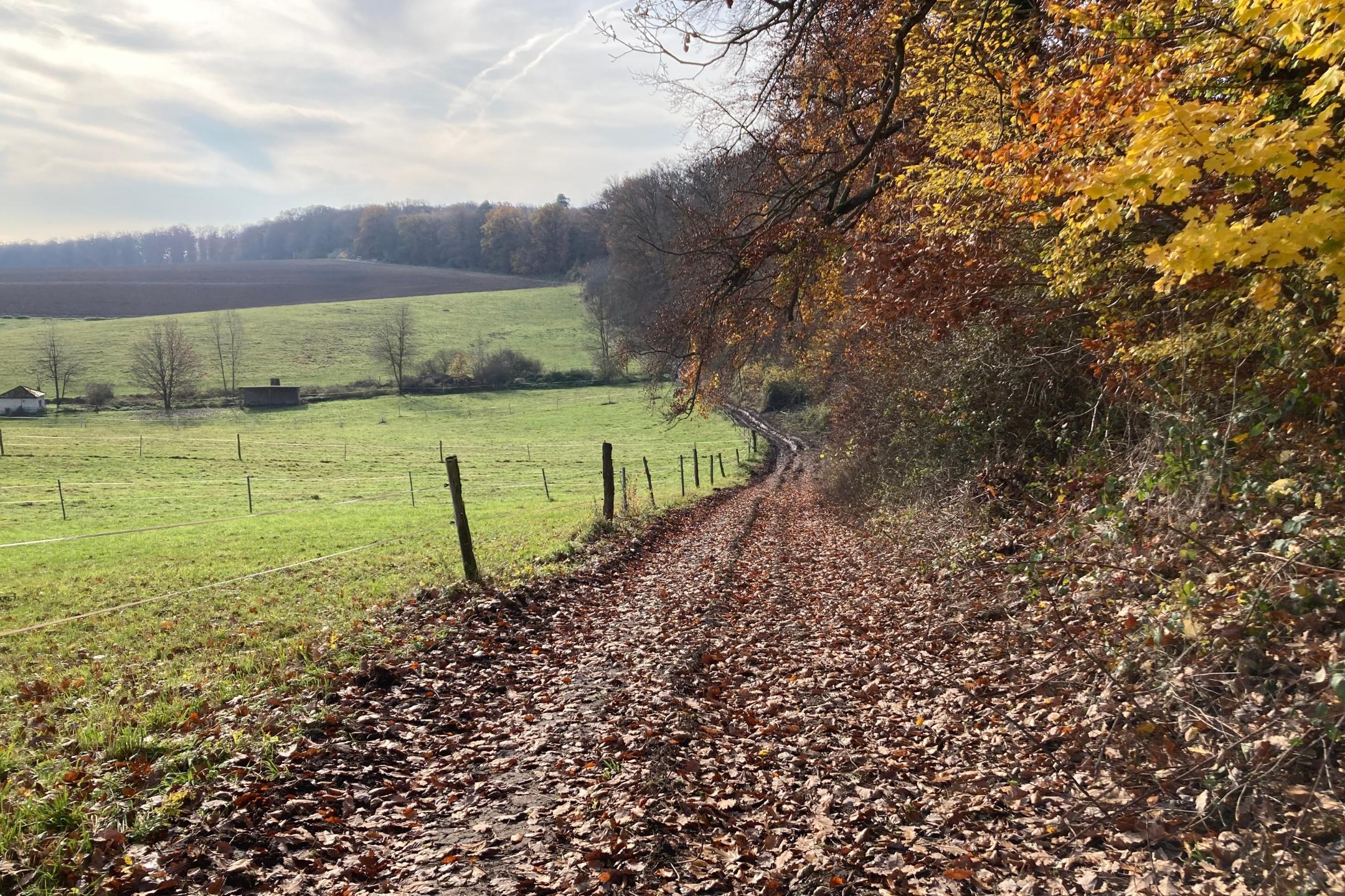 Bonifatiusroute bei Altenstadt