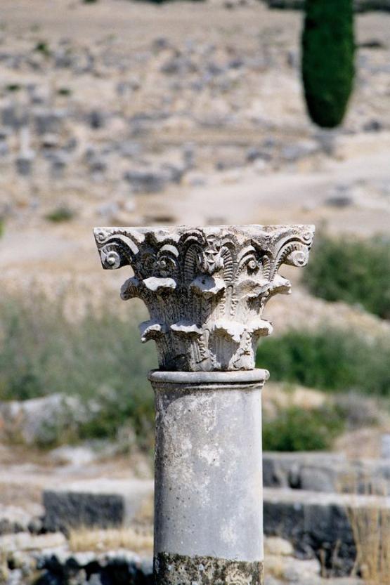 Negative3-16-16_1 (1)