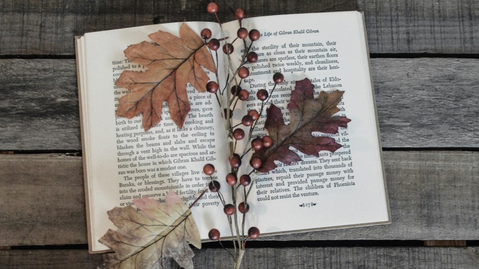 Lesezeit, Behaglichkeit: der Herbst kann kommen (c) Photo by Debby Hudson on Unsplash