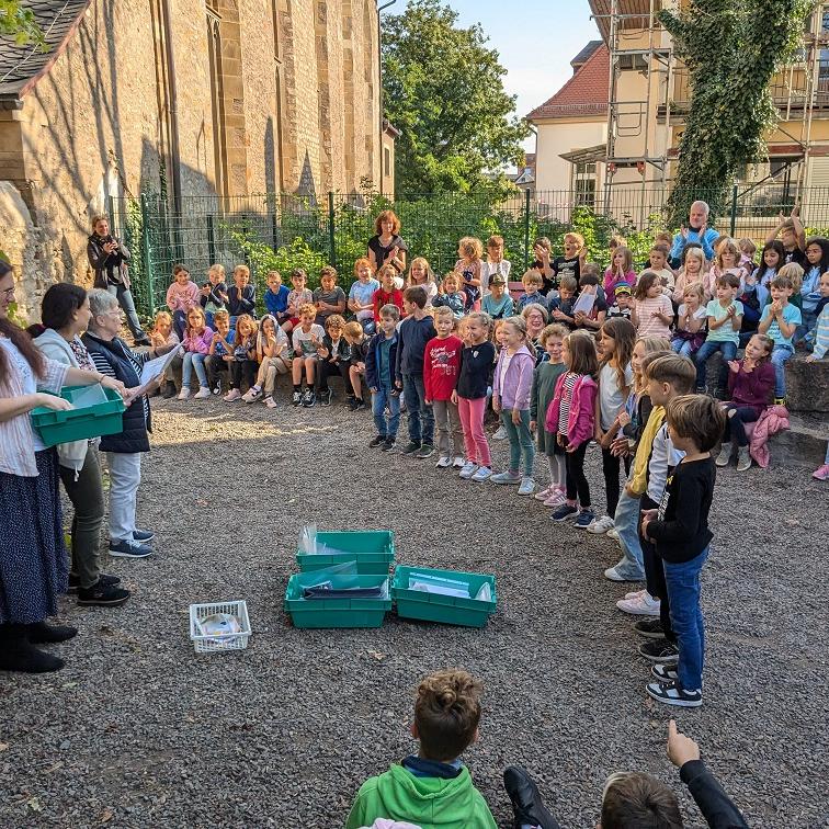 Lese Sommer Abschluss. Zahlenmäßig größte Gruppe der Jahrgangsstufe 2