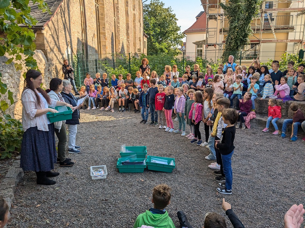 Lese Sommer Abschluss. Zahlenmäßig größte Gruppe der Jahrgangsstufe 2 (c) up