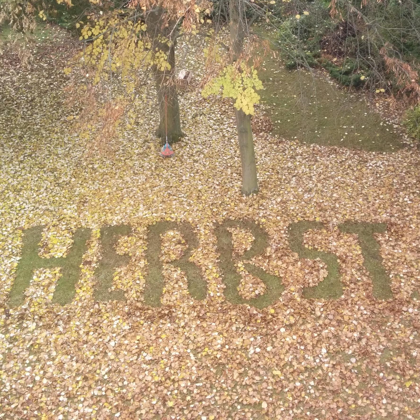 Herbstblätter