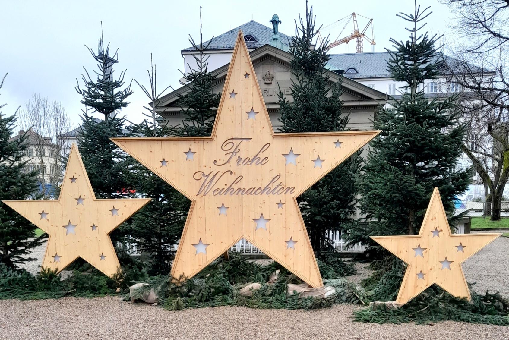 1000052669 (c) Rosi Purdack