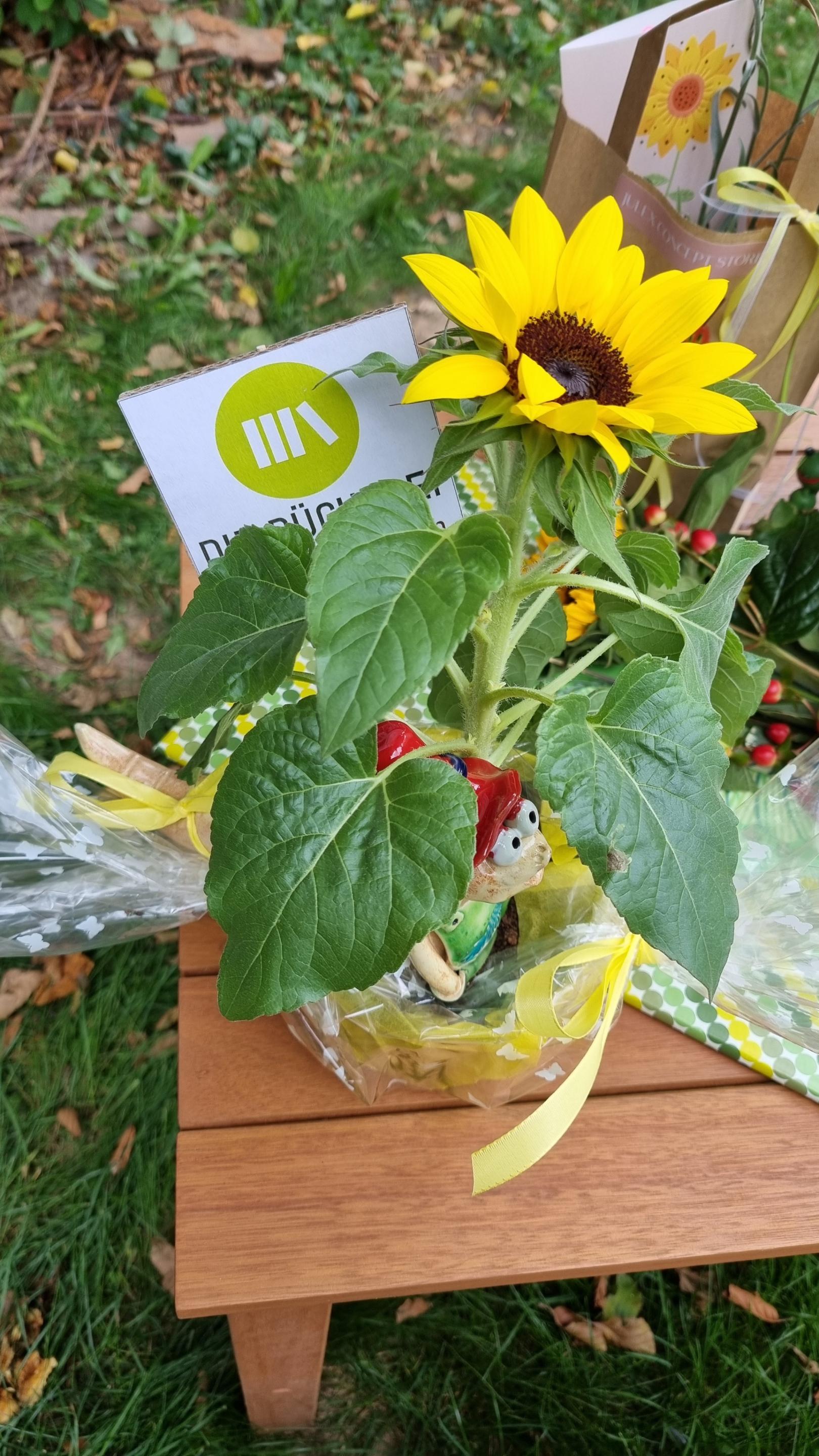Wurmeli wohnt ab jetzt im Naturkindergarten (c) Bücherei St. Sophia/WW