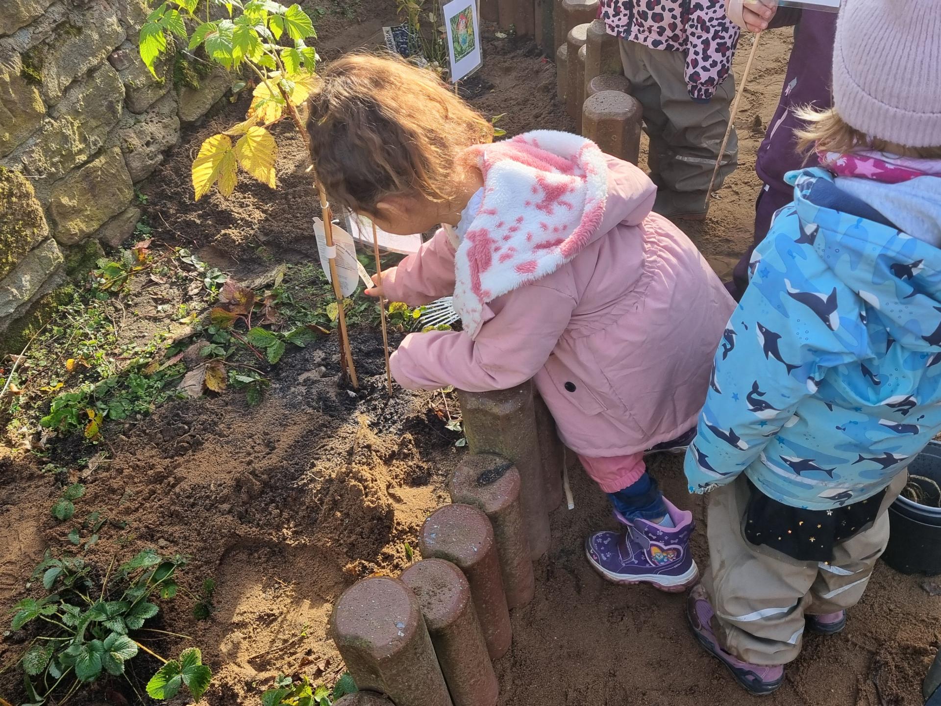 Mit Sorgfalt gepflanzt!