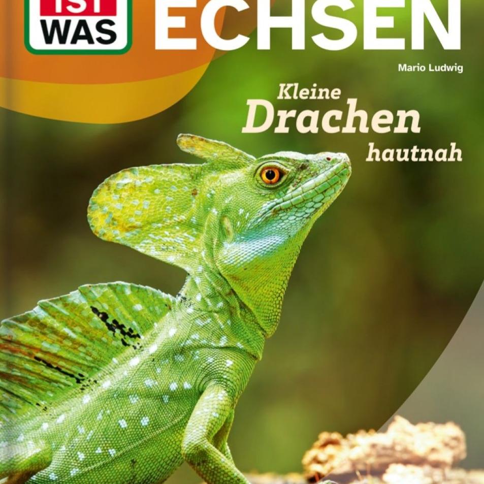 Echsen