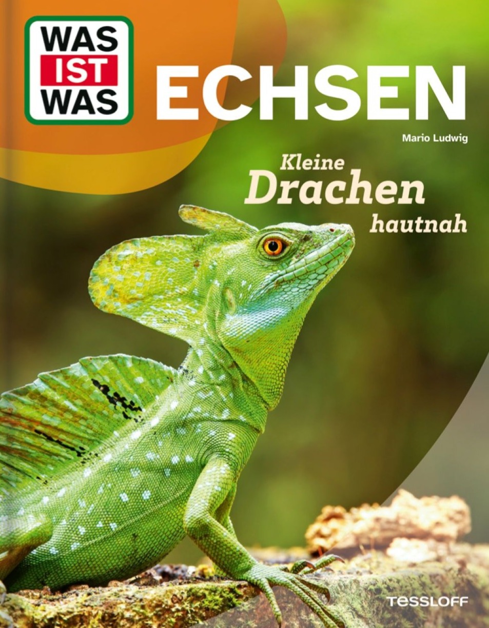 Echsen (c) Tessloff-Verlag