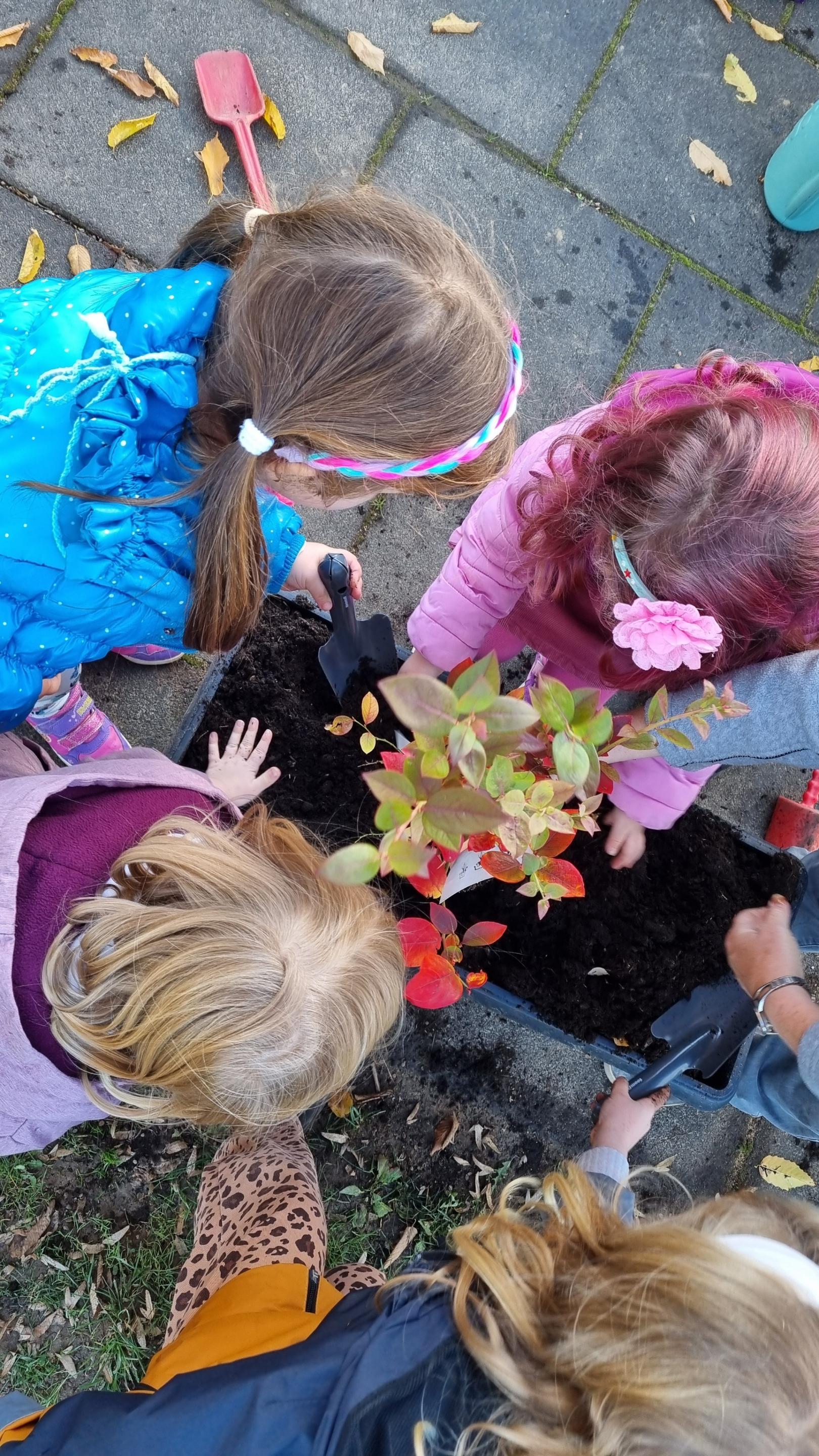 Alle Hände voll zu tun in der Kita Mobile (c) Lebendiges Erbach