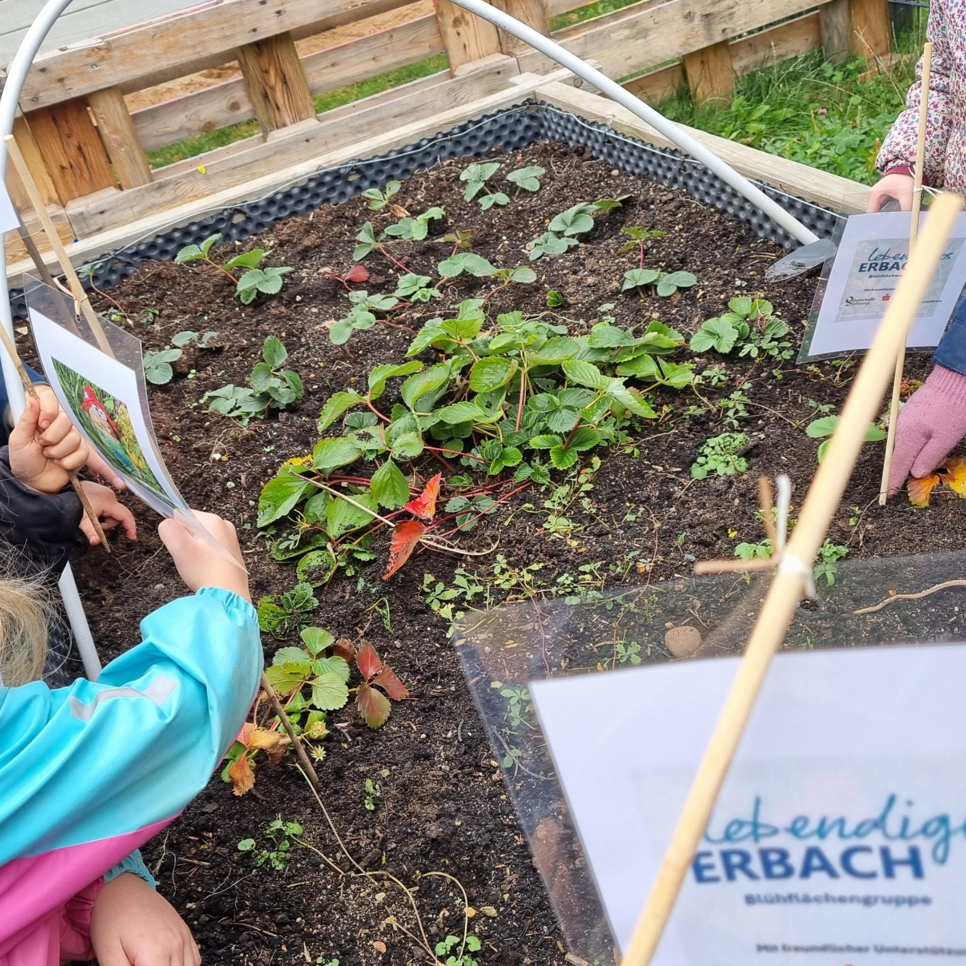 Alles in Reichweite in der Kita Kunterbunt