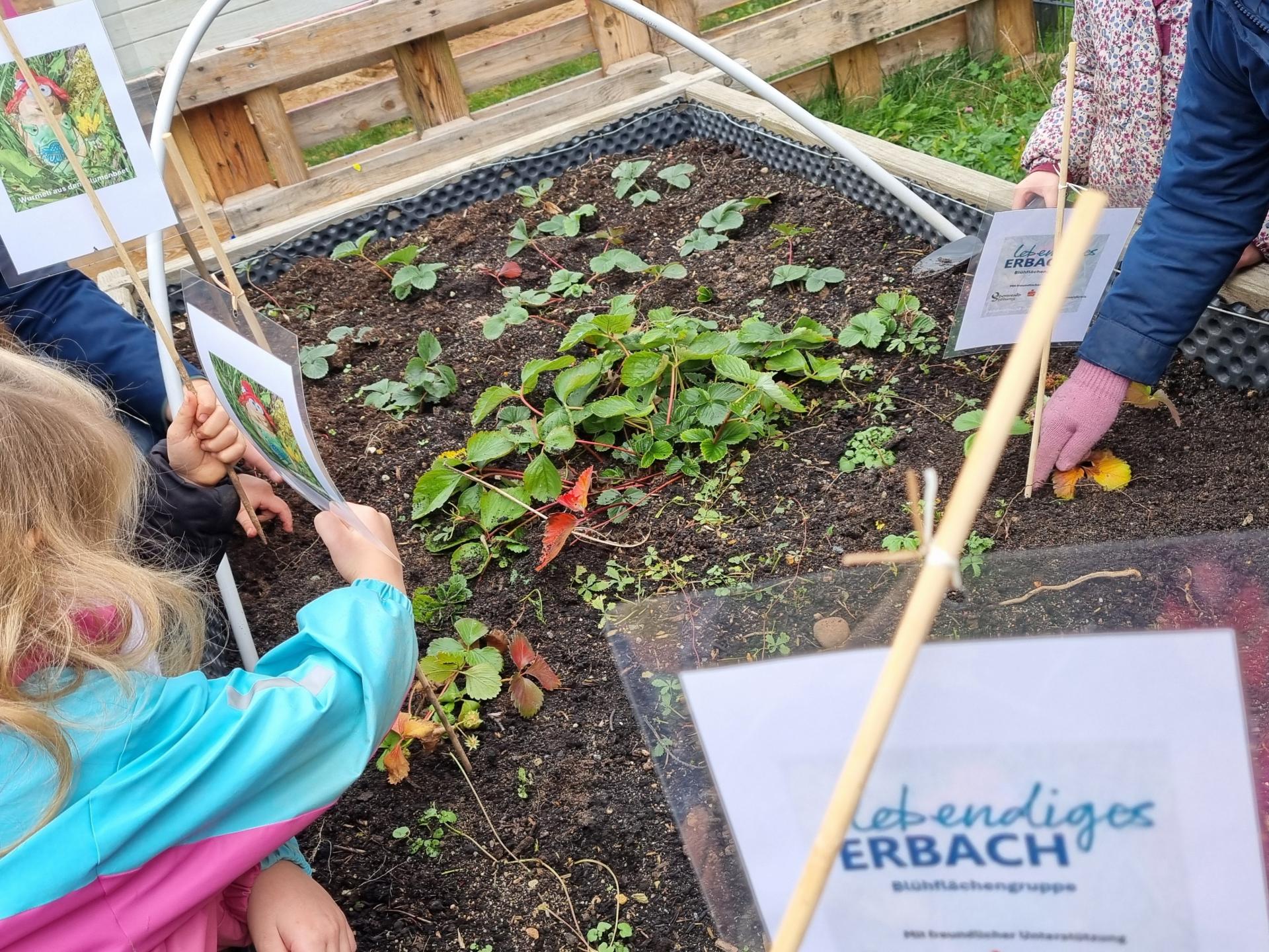 Alles in Reichweite in der Kita Kunterbunt