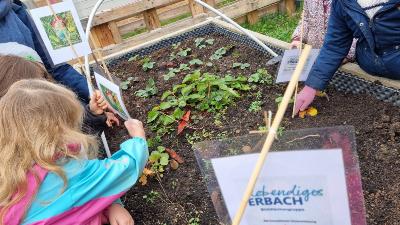 Alles in Reichweite in der Kita Kunterbunt