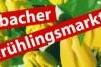 Erbacher Frühlingsmarkt