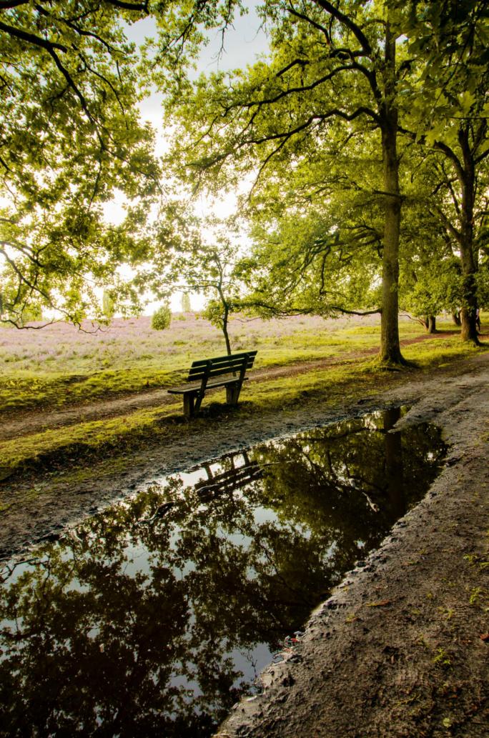 An der Quelle