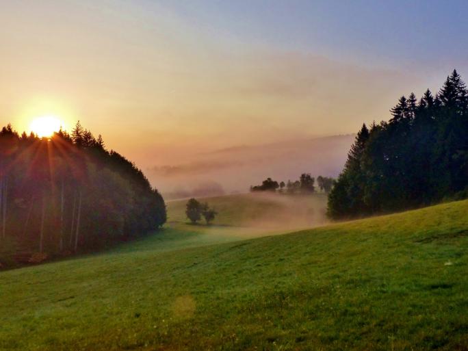 Schöllenbacher Sonne