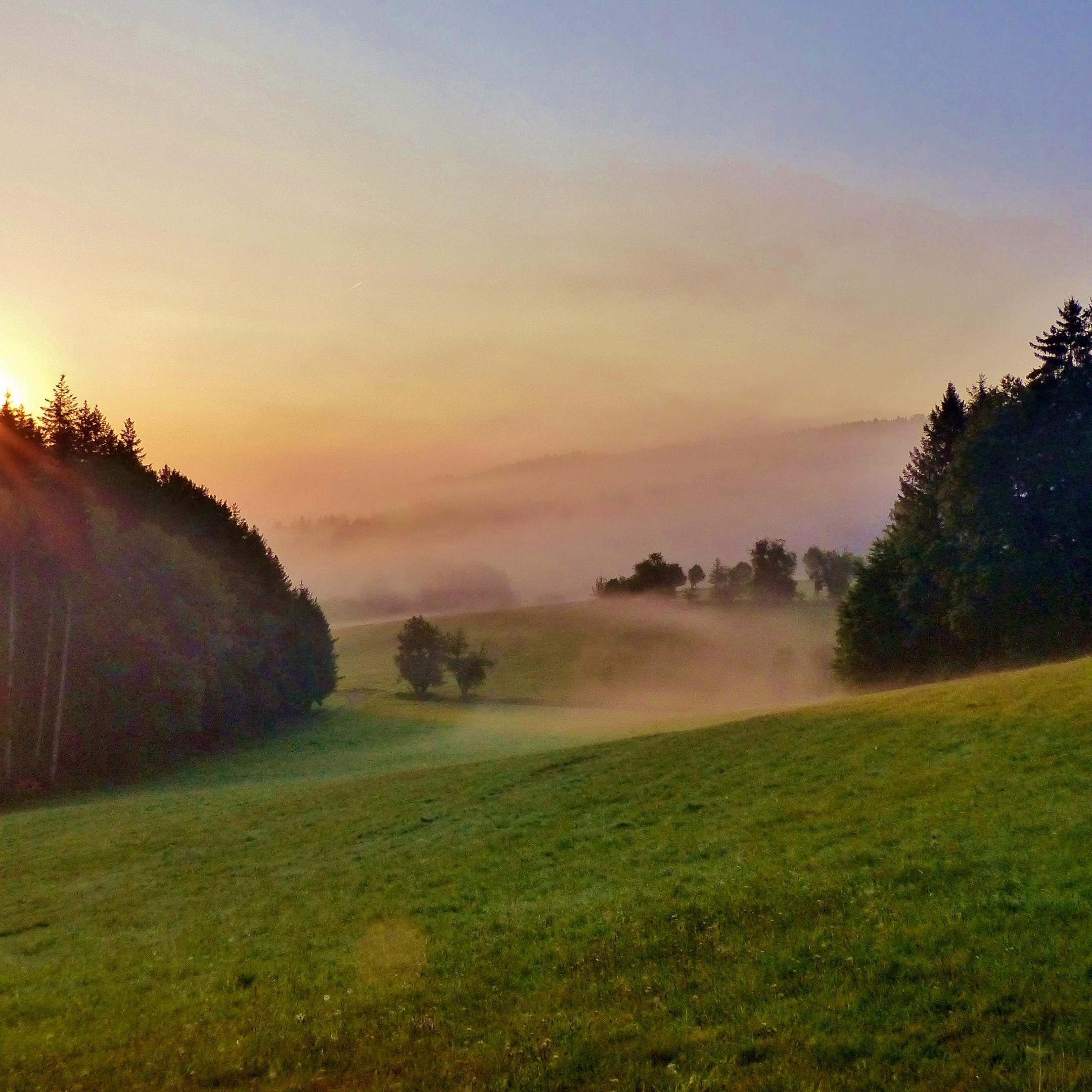 Schöllenbacher Sonne