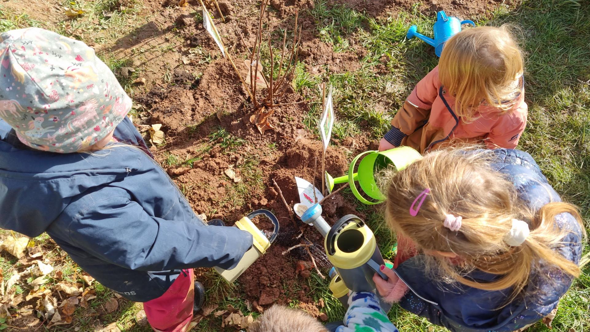 Viel Wasser brauchen die Pflanzen bei den Waldabenteurern (c) Lebendiges Erbach