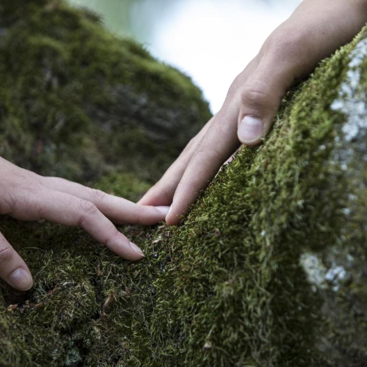 Zwei Hände berühren sich an den Fingerspitzen