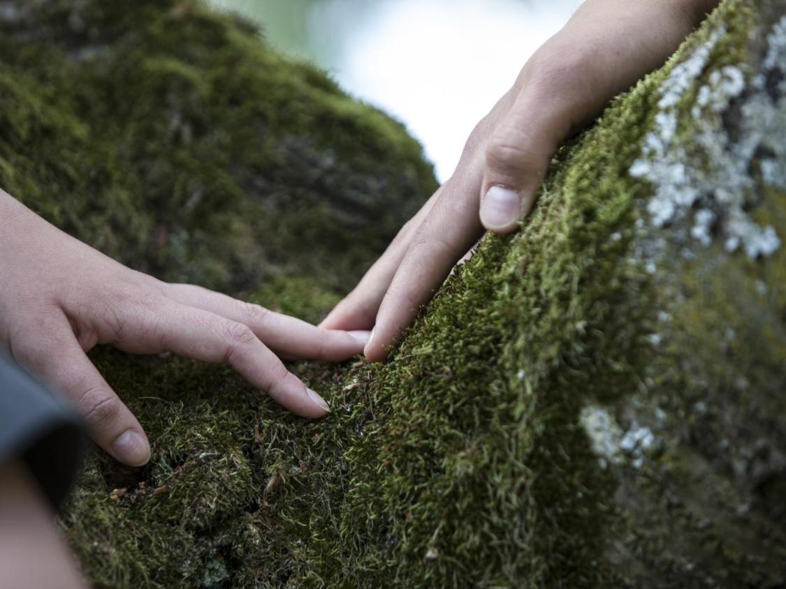 Zwei Hände berühren sich an den Fingerspitzen