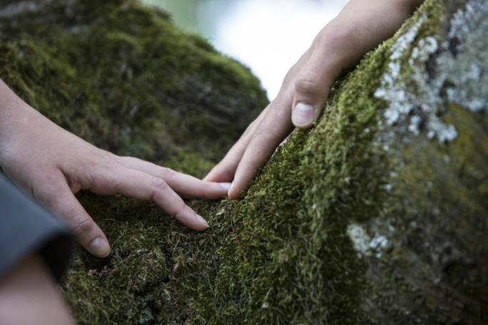 Zwei Hände berühren sich an den Fingerspitzen