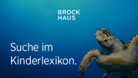 brockhaus-de-suche-im-kinderlexikon (c) Brockhaus