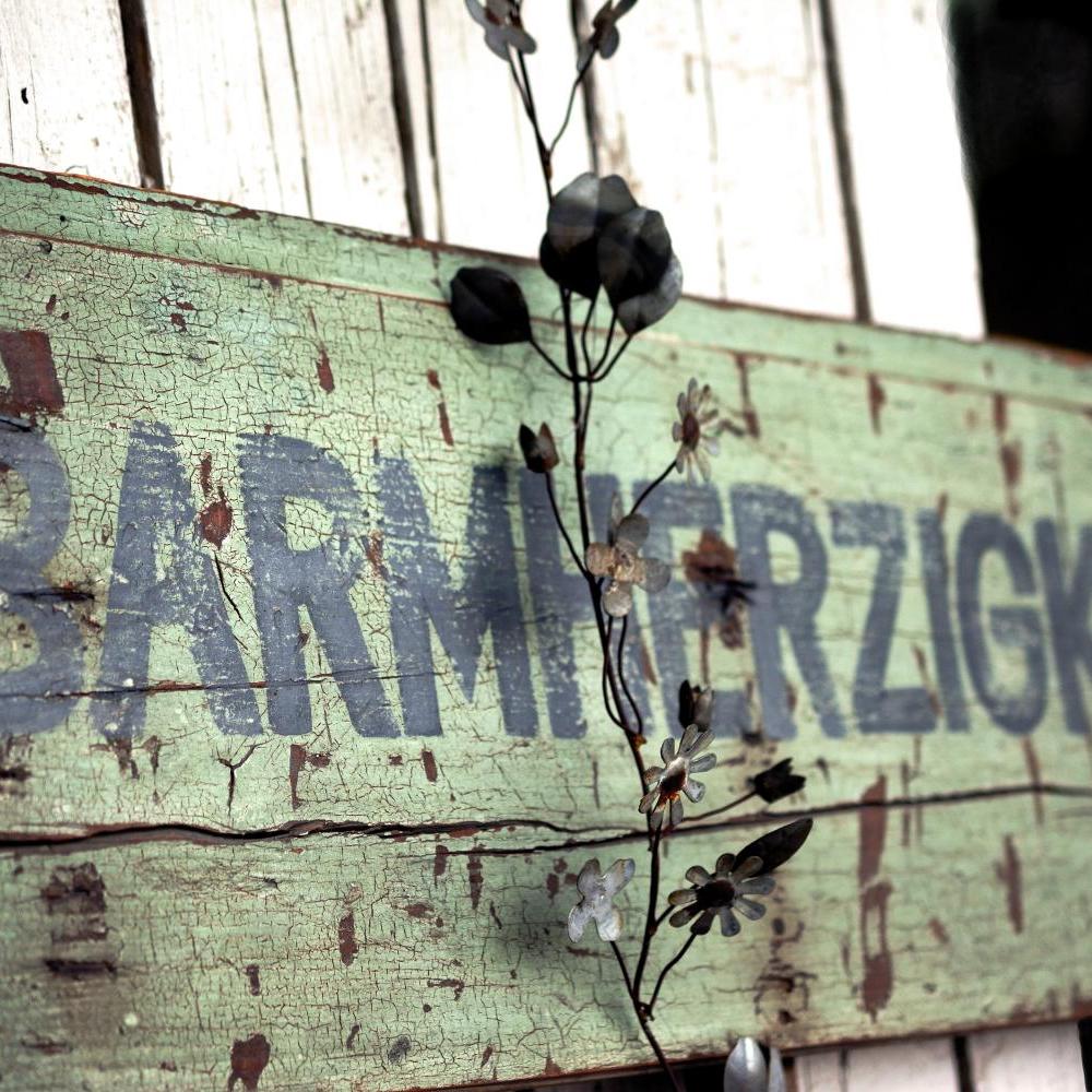 Barmherzigkeit