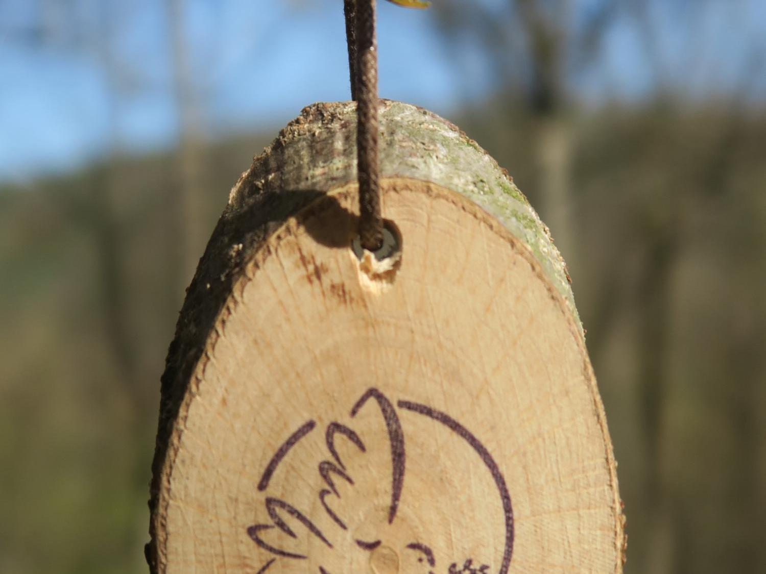 Holzscheibe mit Zeichnung einer Friedenstaube am Ast mit Blüten