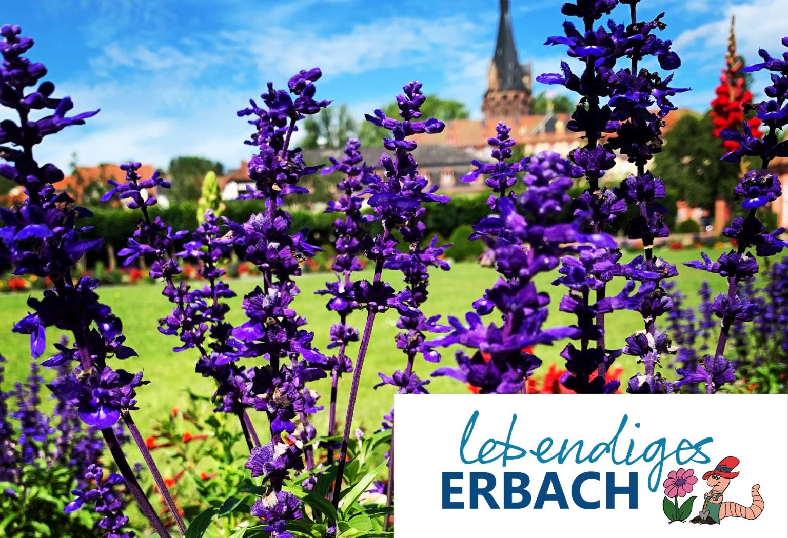 Lebendiges Erbach (c) Stadt Erbach
